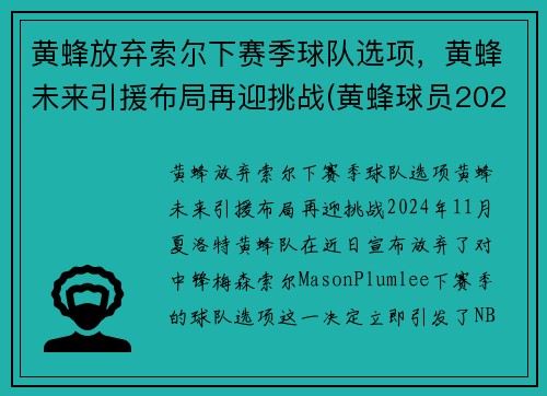 黄蜂放弃索尔下赛季球队选项，黄蜂未来引援布局再迎挑战(黄蜂球员2021)